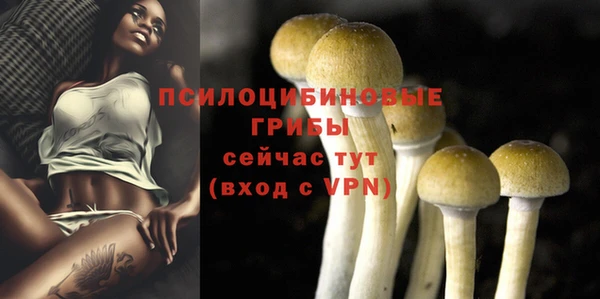 трава Верхний Тагил