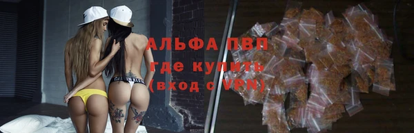 стаф Верея