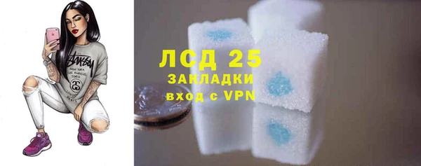 стаф Верея