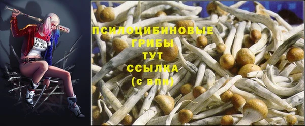 марки nbome Бородино