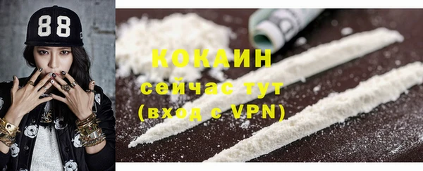 стаф Верея