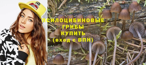 spice Бугульма